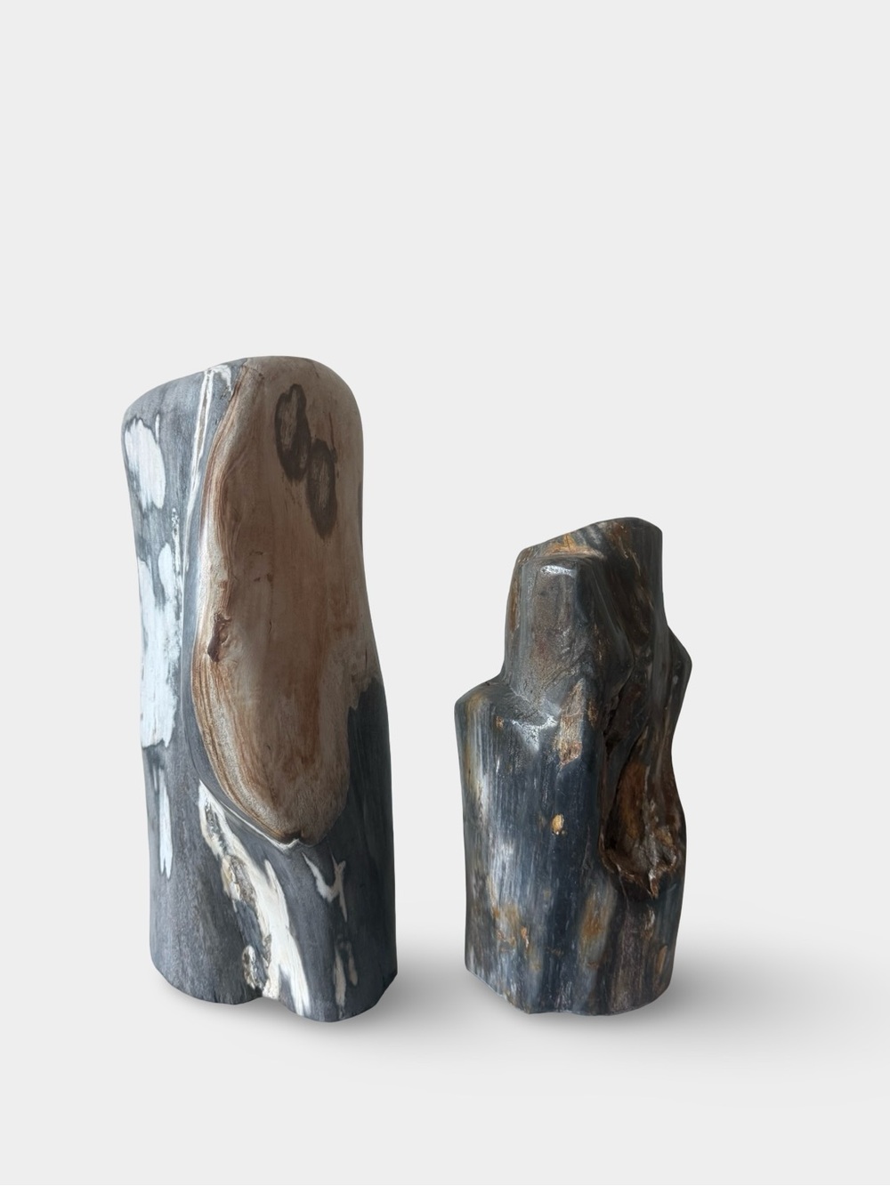 Pair of Sculptural Petrified Wood Objects – Organic Modern Decor